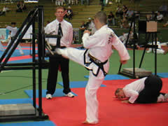 パワーブレイキング