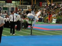 スペシャルテクニック